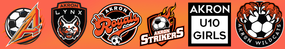 Smaller Travel Banner 2026 jpg